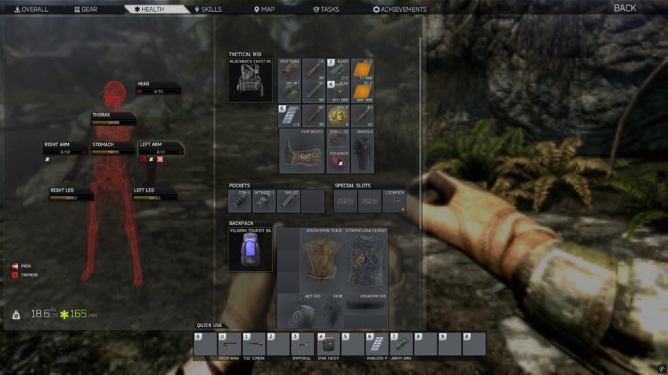 An Escape from Tarkov inventory screen laid over a forest in Skyrim